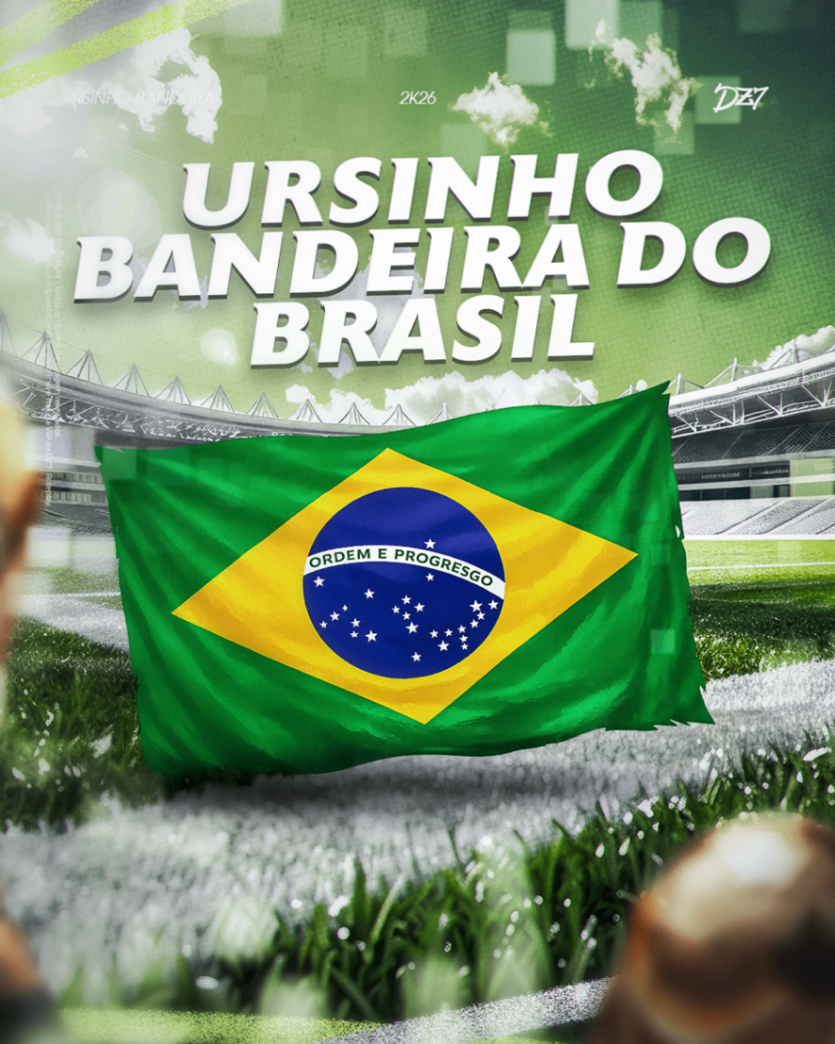 URSINHO BANDEIRA DO BRASIL
