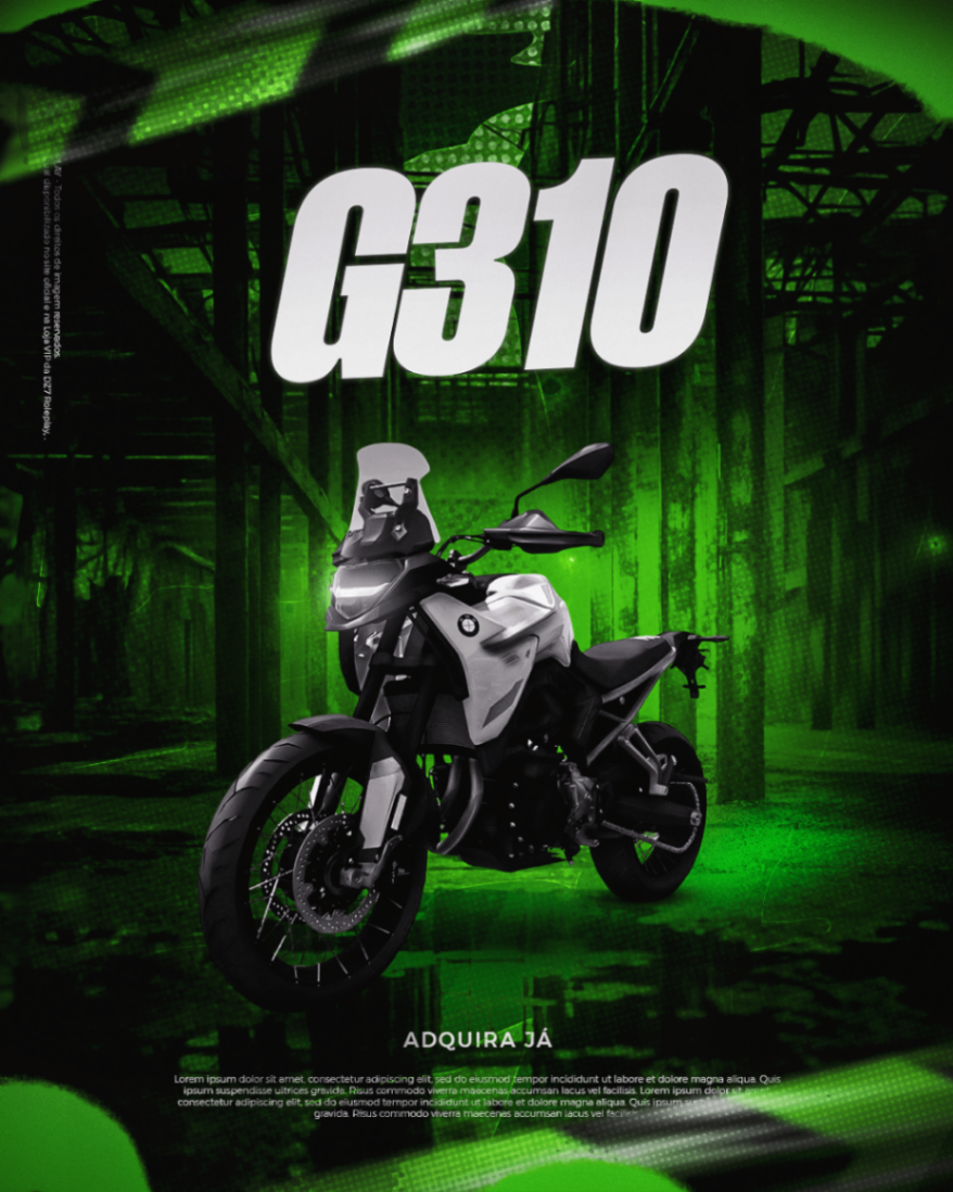 G310